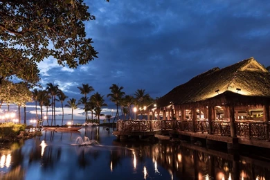 Download Wallpapers 2560x1024 Hawaii, Light, Sea, Palm Trees, Night ...