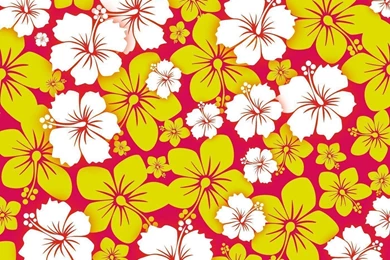 Hawaii Vector Graphics And Icons