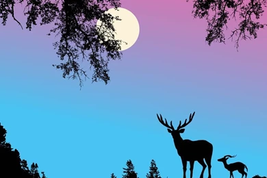 FreeVector Deer Background Vector.jpg