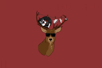 Full HD 1080p Deer Wallpapers HD, Desktop Backgrounds 1920x1080