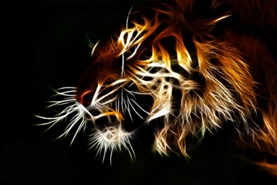 Tiger Computer Wallpapers, Desktop Backgrounds