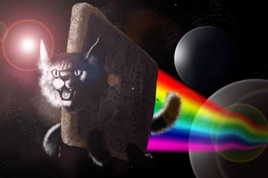 Meme Wallpapers   Memes Photo (30218804)   Fanpop