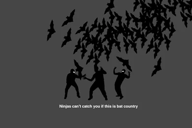Ninjas Can't Catch You If This Is Bat Country Wallpapers   Meme ...