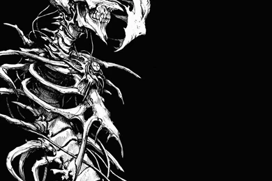 129 Skeleton HD Wallpapers
