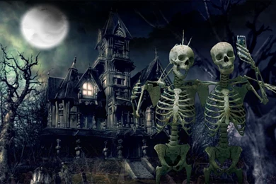 70 Skeleton HD Wallpapers