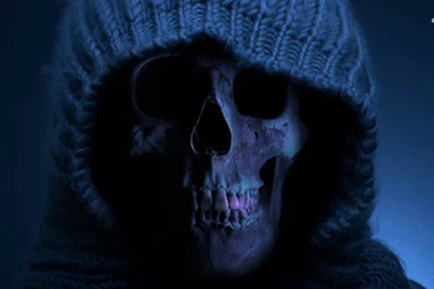 Skeleton Wallpapers   Digital Art Wallpapers