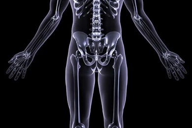 Xray Skeleton iPhone 5 Wallpapers (640x1136)