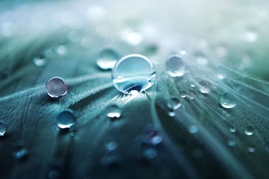 Photography Blogs   60 HD iPad Retina Wallpapers