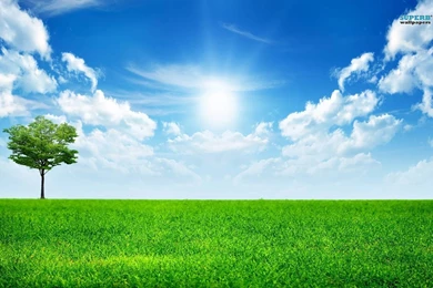 Sunny Blue Sky Wallpapers   Nature Wallpapers