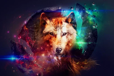 1920x1080 Abstract Wolf Art Wallpapers