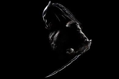 Predators Wallpapers   Movie Wallpapers