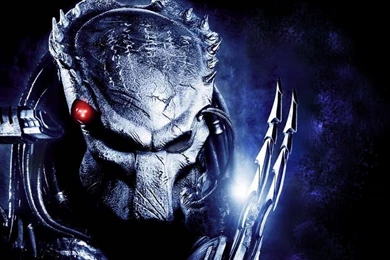 Wolf Predator Wallpapers   Wallpaper.