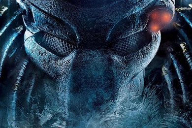 Predator Wallpapers   Movie Wallpapers