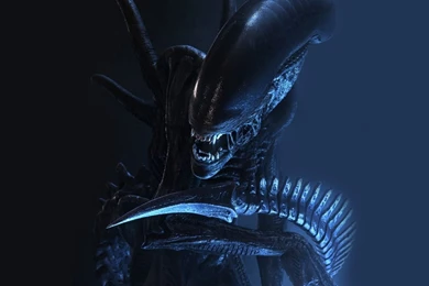 Alien Vs Predator Wallpaper: 3D By Free Download Best HD ...