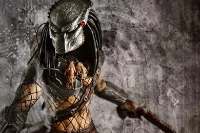 Predator Wallpapers   Game Wallpapers