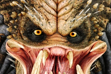 Predator >> HD Wallpaper, Get It Now!