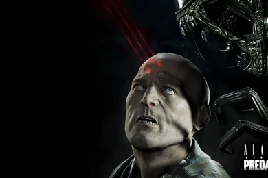 AVP: Alien Vs. Predator Computer Wallpapers, Desktop Backgrounds ...