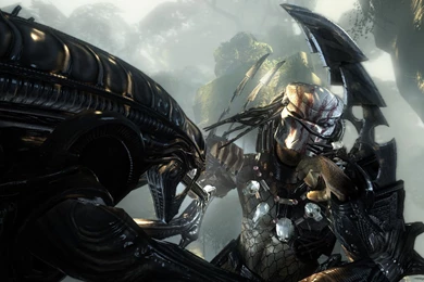 Aliens Vs. Predator Computer Wallpapers, Desktop Backgrounds ...