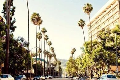 California Iphone Wallpapers