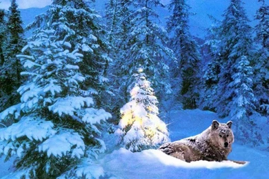 Free Christmas Desktop Wallpapers   Images, Photos, Pics, Pictures ...