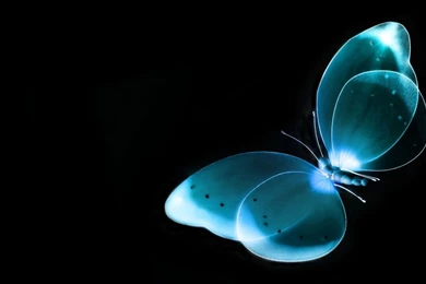 3d Desktop Wallpaper_3d Wallpapers_download Free Wallpapers