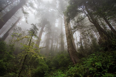 InterfaceLIFT: 2560x1440 Wallpapers Sorted By Rating