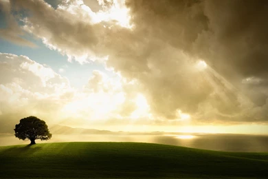 InterfaceLIFT: 2560x1440 Wallpapers Sorted By Comments