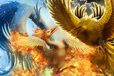 7279 2560x1440 Wallpapers HD