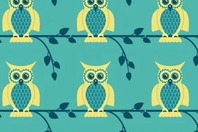 Cute Owl Wallpapers