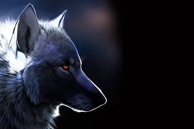 White wolf wallpapers