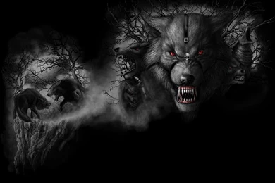 Wolf Wallpapers Hd Pack