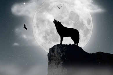 Wolf Under Full Moon.jpg