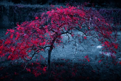 4K Ultra HD Desktop Wallpapers HD 3840x2160, Free Desktop ...