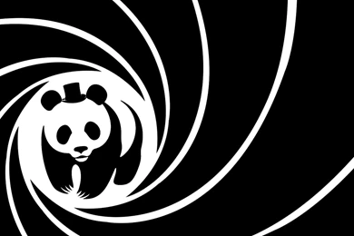 Panda Wallpapers