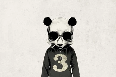 Panda Skull Wallpapers   Digital Art Wallpapers