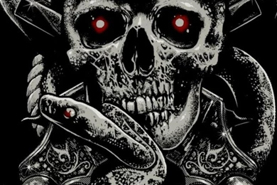 Download Wallpapers 750x1334 Skull, Fear, Hat, Guns, Snake ...