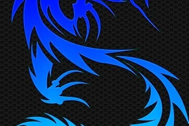 Blue Dragon iPhone 5 Wallpapers (640x1136)