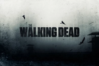 The Walking Dead Wallpapers By INicKeoN On DeviantArt