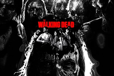 The Walking Dead   The Walking Dead Wallpapers (36705274)   Fanpop