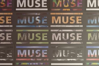 Download Wallpapers 640x1136 Muse, Name, Words, Graphics, Font ...