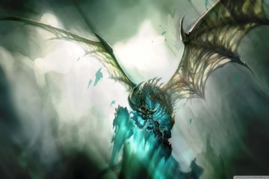 World Of Warcraft Dragon HD Desktop Wallpapers : Widescreen : High ...