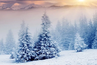 1600x900 Sunset Snow Landscape Wallpapers