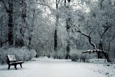 Snow Desktop HD Wallpapers 0.jpg