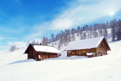 Theme Bin» Blog Archive » Snowfall HD Wallpapers