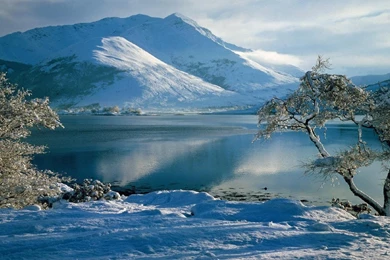 Landscapes Winter Nature Ice Snow HD Wallpapers Wallpapers   (