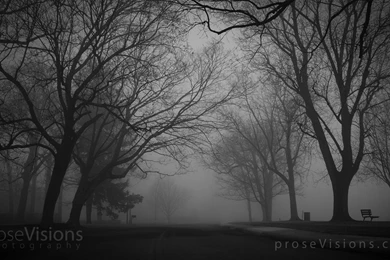 Free Wallpapers Of The Grand Fog Image