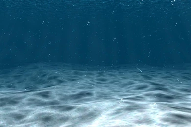 Tranquility Underwater Nature Blue Depth HD Wallpapers Wallpapers ...