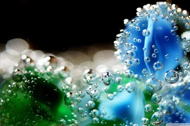 Flower Under Water Wallpapers