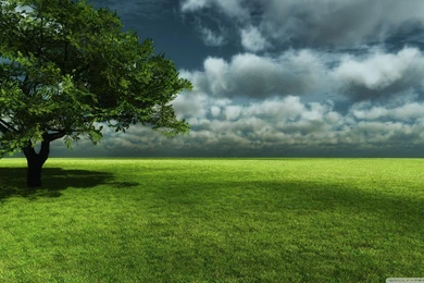 iMac 27   2560x1440px HD Wallpapers Avagy Háttérkép