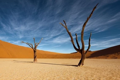 Deadvlei   Free iMac 27" Wallpapers Desktop Backgrounds 2560x1440 ...